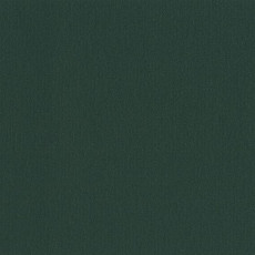 Линолеум Uni Walton 0035 Racing Green фото 1 | FLOORDEALER