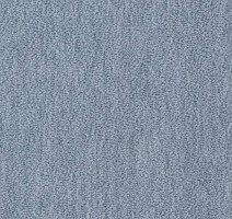 Ковролин Vorwerk Passion 1002 Vorwerk 3n67 фото 1 | FLOORDEALER