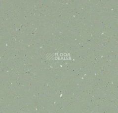 Линолеум Forbo SureStep Original 172192 light kelp фото 1 | FLOORDEALER