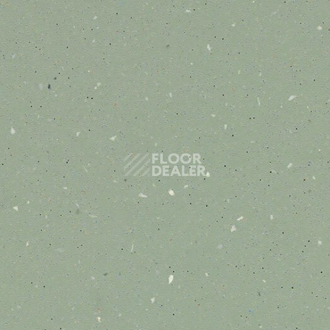 Линолеум Forbo SureStep Original 172192 light kelp фото 1 | FLOORDEALER