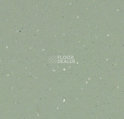 Линолеум Forbo SureStep Original 172192 light kelp фото 1 | FLOORDEALER