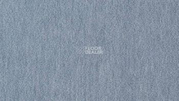 Ковролин Vorwerk Passion 1002 Vorwerk 3n67 фото 1 | FLOORDEALER