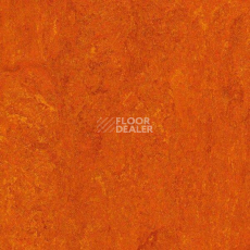 Линолеум Marmorette DLW 2.5mm 121-117 фото 1 | FLOORDEALER