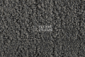 AW Tulle / Тюль 94 Silver фото 4 | FLOORDEALER
