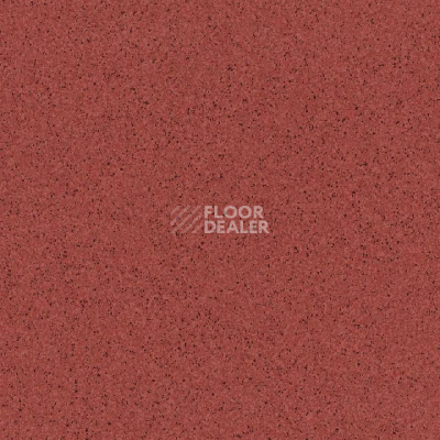 Линолеум Primo Plus Marine 306 фото 1 | FLOORDEALER