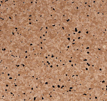 Линолеум Standard Conductive 808 Sahara фото 1 | FLOORDEALER