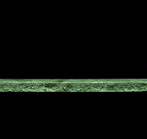 Tarkett Primo Plus 312 фото 3 | FLOORDEALER