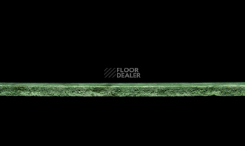 Tarkett Primo Plus 312 фото 3 | FLOORDEALER