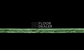 Tarkett Primo Plus 312 фото 3 | FLOORDEALER