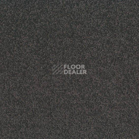 Ковровая плитка Desso Palatino 8500 фото 1 | FLOORDEALER