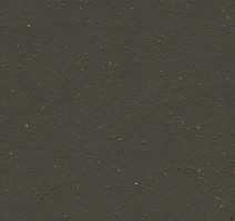 Линолеум Forbo Marmoleum Solid Cocoa 3591 black tea фото 1 | FLOORDEALER