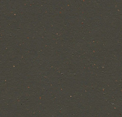 Линолеум Forbo Marmoleum Solid Cocoa 3591 black tea фото 1 | FLOORDEALER
