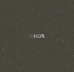 Линолеум Forbo Marmoleum Solid Cocoa 3591 black tea фото 1 | FLOORDEALER
