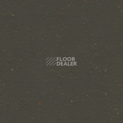 Линолеум Forbo Marmoleum Solid Cocoa 3591 black tea фото 1 | FLOORDEALER