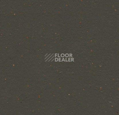 Линолеум Forbo Marmoleum Solid Cocoa 3591 black tea фото 1 | FLOORDEALER