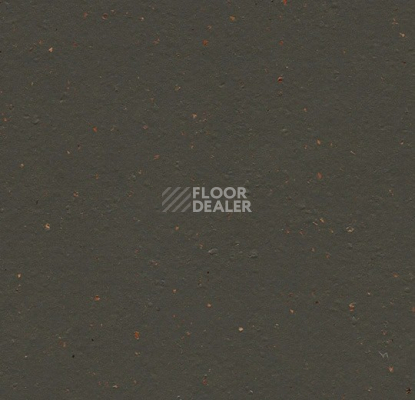 Линолеум Forbo Marmoleum Solid Cocoa 3591 black tea фото 1 | FLOORDEALER
