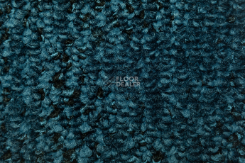 Balsan Take a Walk Rolls 170 фото 2 | FLOORDEALER