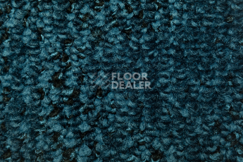 Balsan Take a Walk Rolls 170 фото 2 | FLOORDEALER