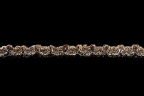 AW Berber Point 650 Galleon 44 фото 4 | FLOORDEALER