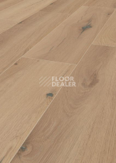 Ламинат Terhurne Trend Line 327мм 1957  Дуб Миндально-Бежевый  1101021684 фото 1 | FLOORDEALER