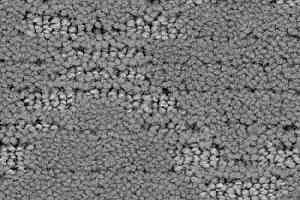 Ковролин Balsan Chenonceau 920 фото  | FLOORDEALER