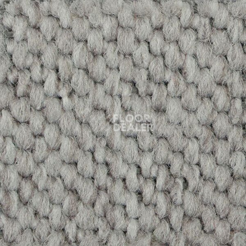 Ковролин Carpet Concept Eco Cut 54558 фото 1 | FLOORDEALER