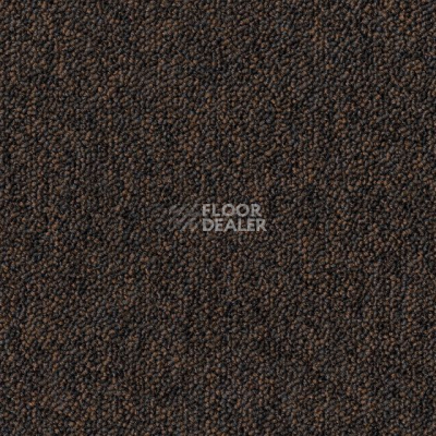 Ковровая плитка Desso Natural Nuances 9150 фото 1 | FLOORDEALER