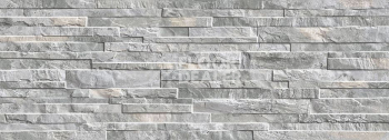 Керамогранит Arcalis 389 Grey 32x89 фото 1 | FLOORDEALER