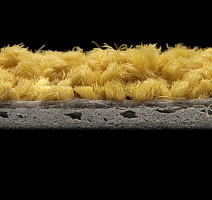 ColorKey ColorKey 08 фото 3 | FLOORDEALER