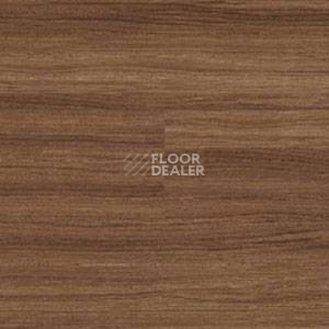 Линолеум Polyflor Expona Wood 6194 фото 1 | FLOORDEALER