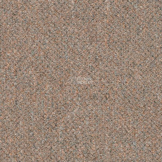 Shaw Momentum 02513 фото 1 | FLOORDEALER