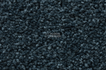 Balsan Serenite 955 фото 4 | FLOORDEALER