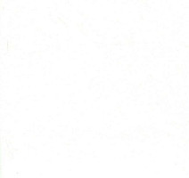 Линолеум Grabo Muravyl 1001 фото 1 | FLOORDEALER