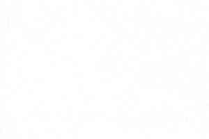 Линолеум Grabo Muravyl 1001 фото  | FLOORDEALER