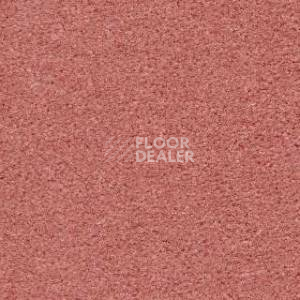 Ковролин Radici Montecarlo 2 фото 1 | FLOORDEALER