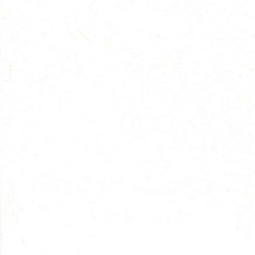 Линолеум Grabo Muravyl 1001 фото 1 | FLOORDEALER