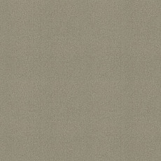 Ковровая плитка Tessera basis pro 4211 Sandy фото 1 | FLOORDEALER