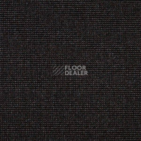 Ковролин Carpet Concept Eco 500 6917 фото 1 | FLOORDEALER