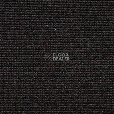 Ковролин Carpet Concept Eco 500 6917 фото 1 | FLOORDEALER