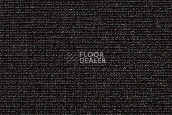 Ковролин Carpet Concept Eco 500 6917 фото 1 | FLOORDEALER