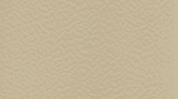 Линолеум Taraflex Surface Uni 6347_Beige фото 1 | FLOORDEALER