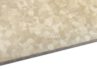 Tarkett iq Melodia 2613 фото 5 | FLOORDEALER