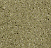 Ковролин Shaw Design Texture Platinum 320 фото 1 | FLOORDEALER