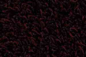 Ковролин Edel Vivaldi 185 фото  | FLOORDEALER