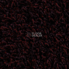 Ковролин Edel Vivaldi 185 фото 1 | FLOORDEALER