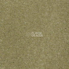 Ковролин Shaw Design Texture Platinum 320 фото 1 | FLOORDEALER