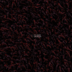 Edel Vivaldi 185 фото 1 | FLOORDEALER