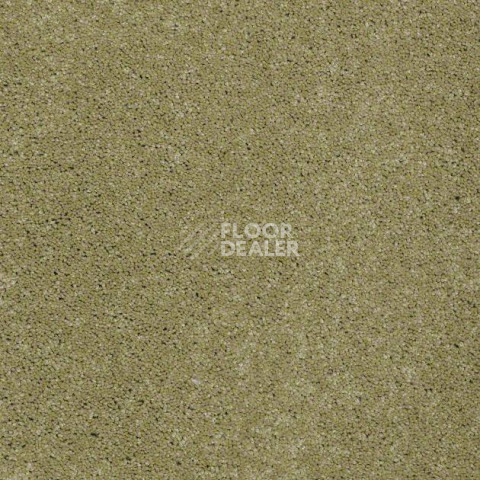 Ковролин Shaw Design Texture Platinum 320 фото 1 | FLOORDEALER
