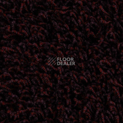 Ковролин Edel Vivaldi 185 фото 1 | FLOORDEALER