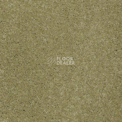 Ковролин Shaw Design Texture Platinum 320 фото 1 | FLOORDEALER